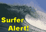 Surfer Alert